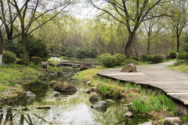 林地中的木板路、桥和湖图片下载