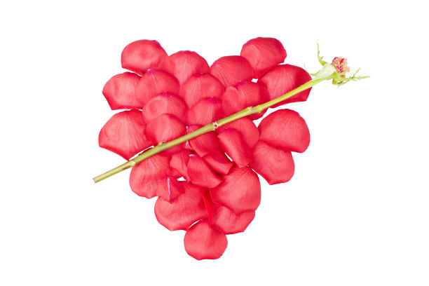 玫瑰做的心图片下载