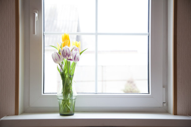 窗户上插着花的花瓶图片下载