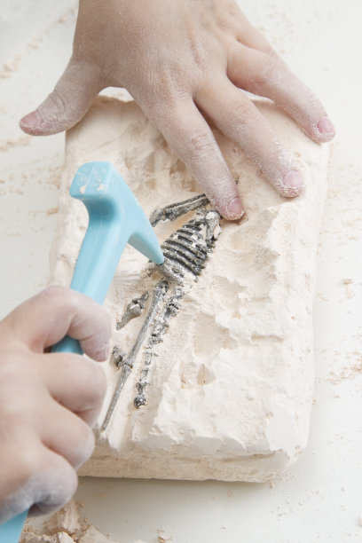 初级古生物学家/恐龙猎人图片下载