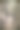 一张年轻女子骑马过河的复古照片图片下载