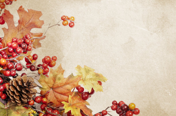 秋天的树叶花环纹理Grunge背景图片下载