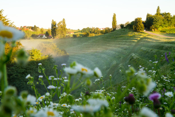 春天图片素材ID：150658438