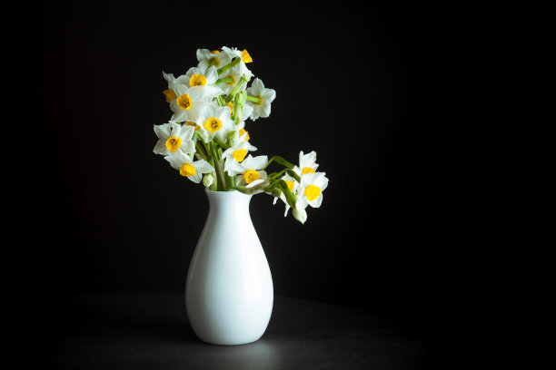 黑色背景的水仙花图片下载
