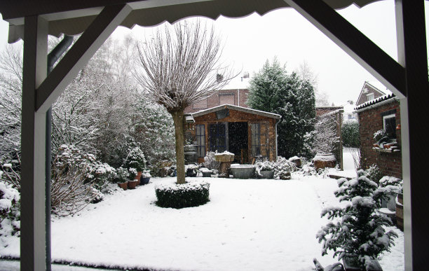 冬天的花园图片下载