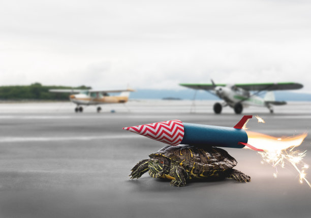 有火箭推进器的雄心勃勃的乌龟正在等待起飞素材图片