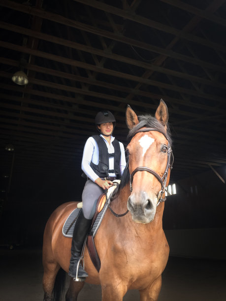 马和骑手图片下载