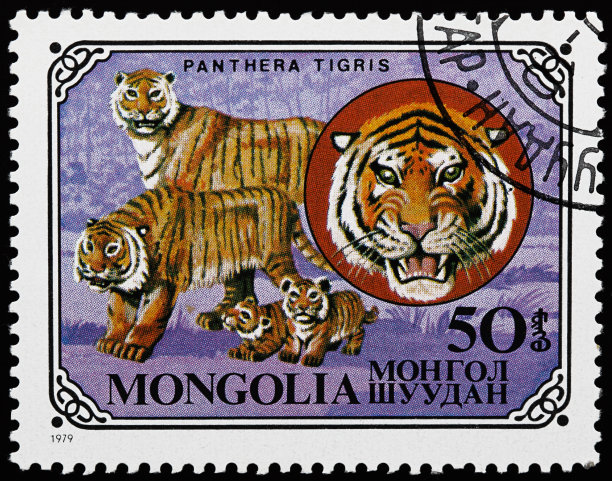 豹属底格里斯河邮票图片下载