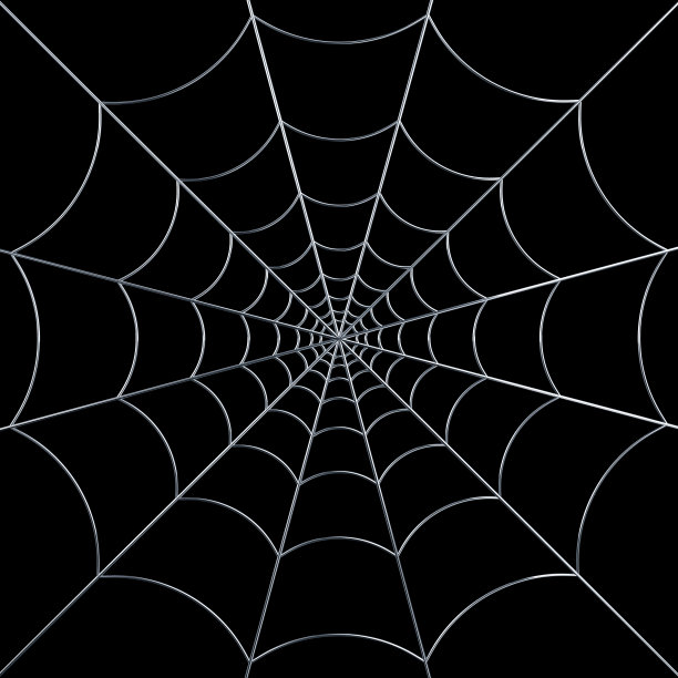 银蜘蛛网图片下载