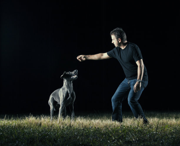 所有者和魏玛猎狗图片下载