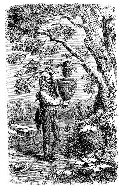 雕刻的养蜂人收割蜂蜜图片下载