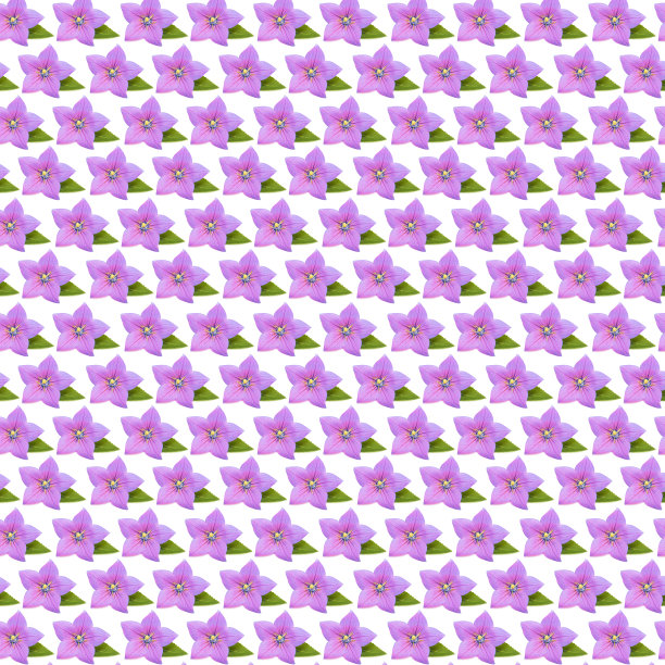 紫色钟花背景-墙纸图片下载