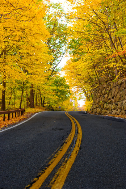 秋天的道路图片下载