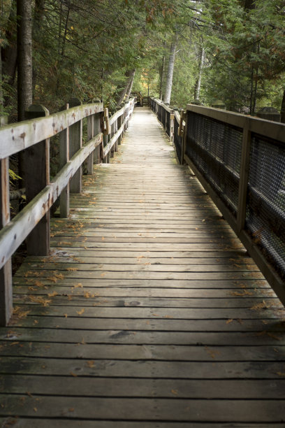 木制人行道图片下载