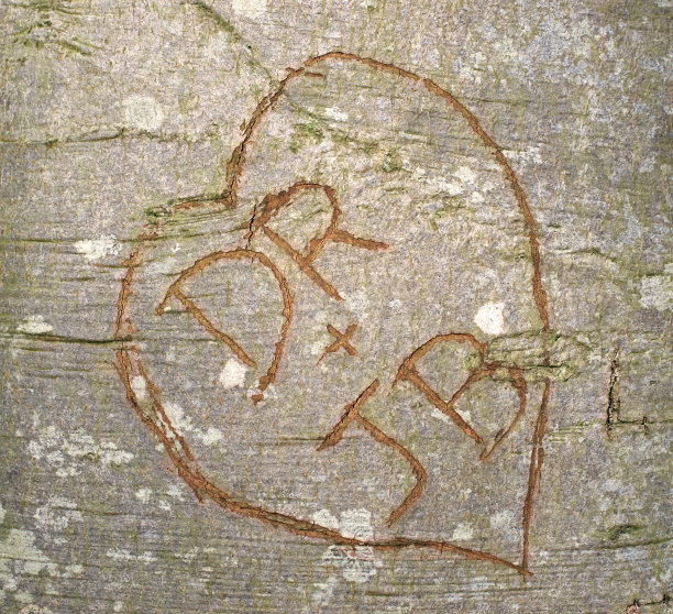 爱JB博士图片下载