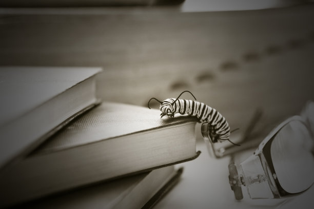 书呆子图片下载