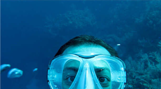 潜水员的老板图片下载