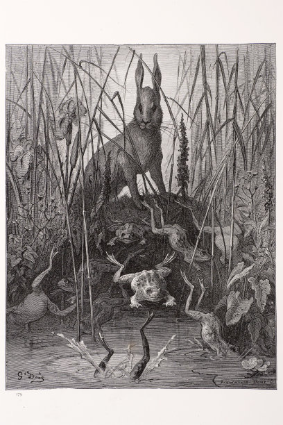 兔子和青蛙图片下载