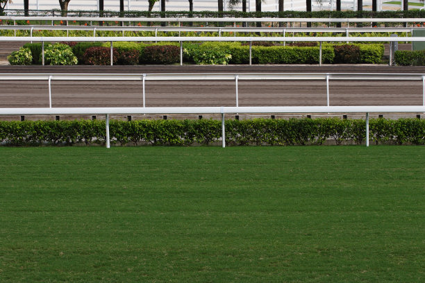 赛马跑道图片下载