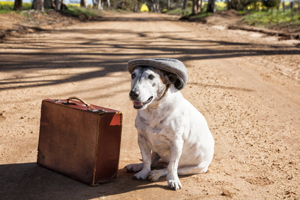 等待顺风车图片下载