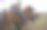 战争照片素材ID：150855730
