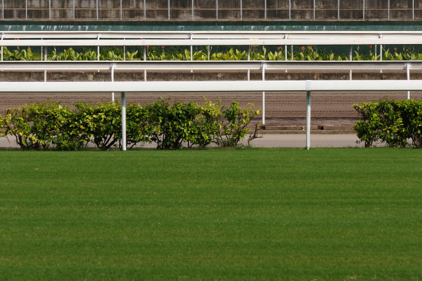赛马跑道图片下载