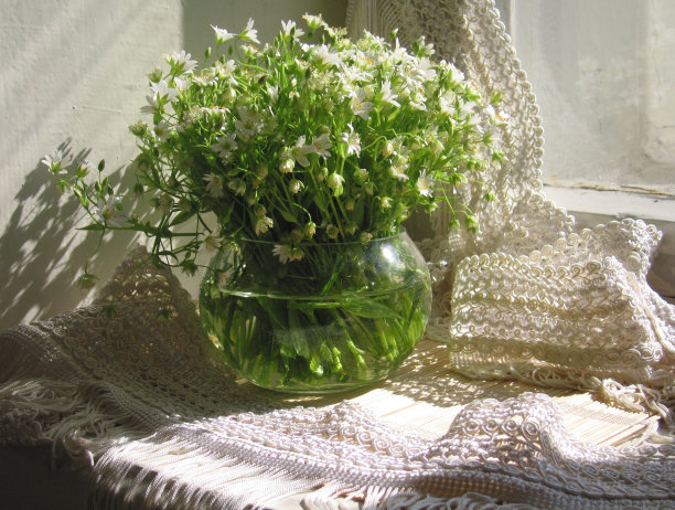 太阳早晨图片下载