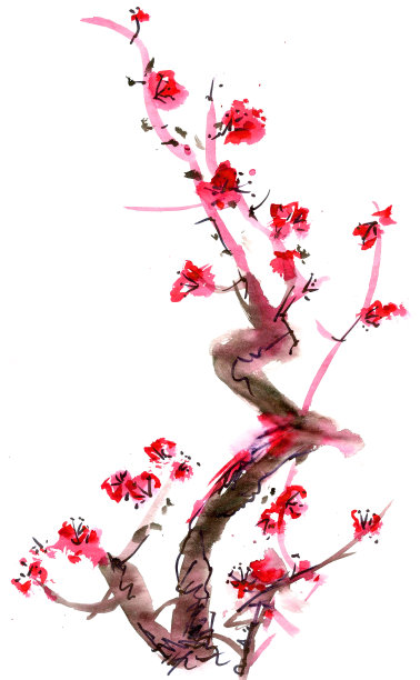 梅花画图片下载