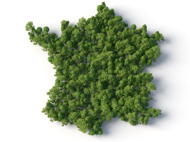 法国地图上树图片下载