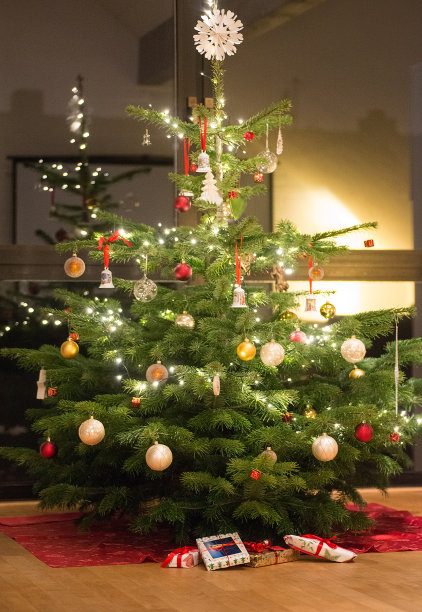 客厅里的圣诞树图片下载