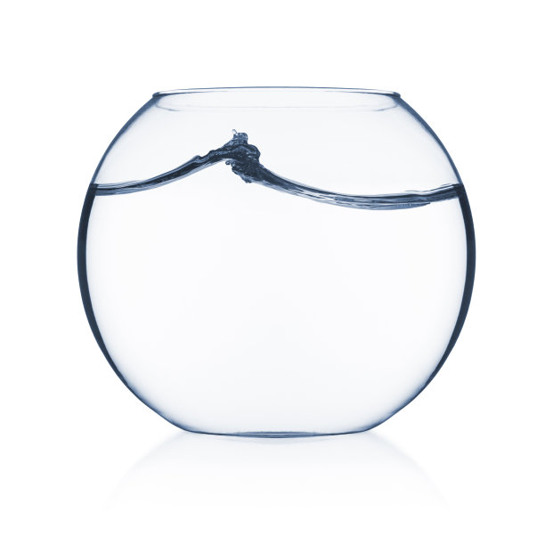 在Fisbowl中挥手图片下载