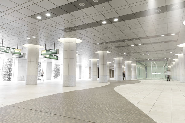 摘要站在日本东京图片下载