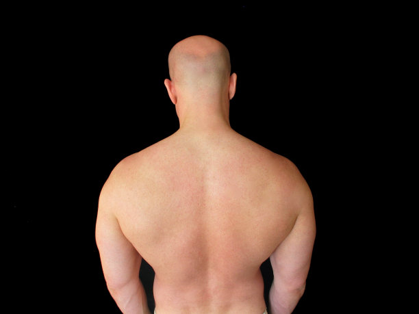 一个男性健美者的背部图片下载