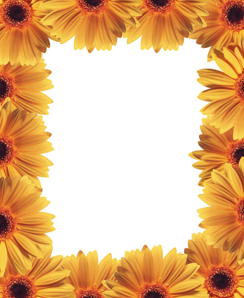 花框架图片下载