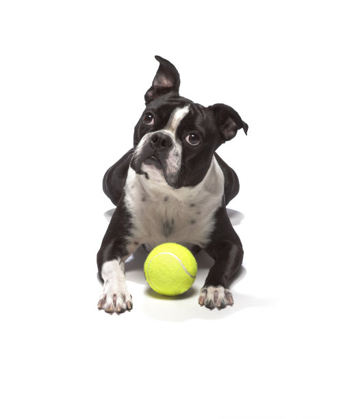 保护玩具图片下载