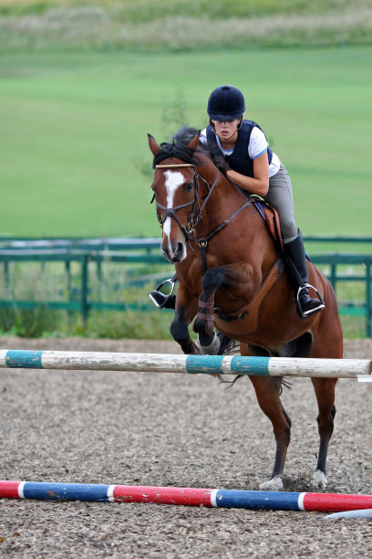培训Showjumping图片下载