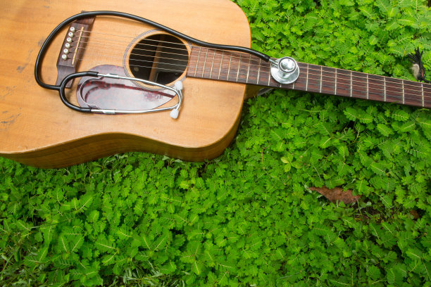 草地上放着一把吉他，上面放着听诊器图片下载