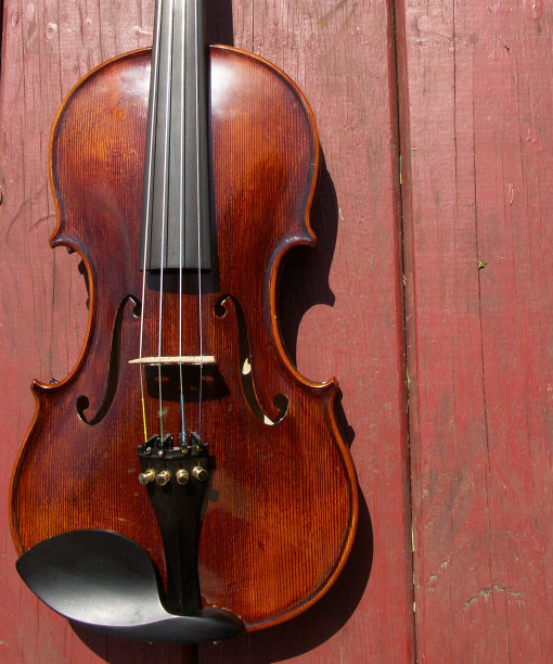 在红板上拉琴图片下载