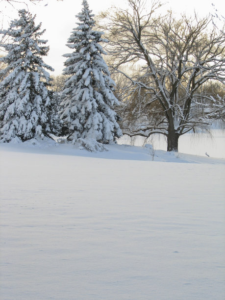 冬天的场景图片下载