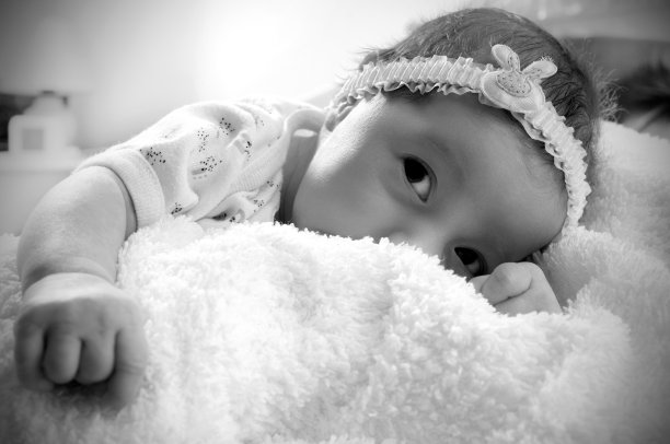 新出生的图片下载