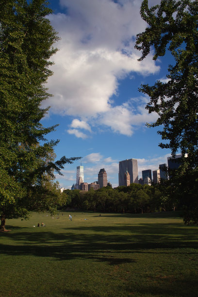 夏日中央公园图片下载