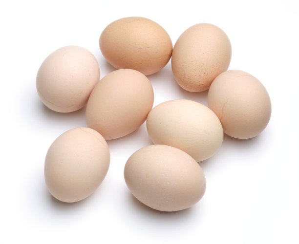 八个鸡蛋图片下载