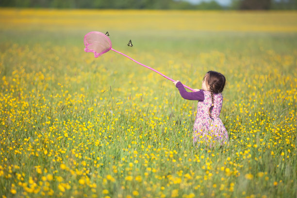 小女孩试图用网捉蝴蝶图片下载