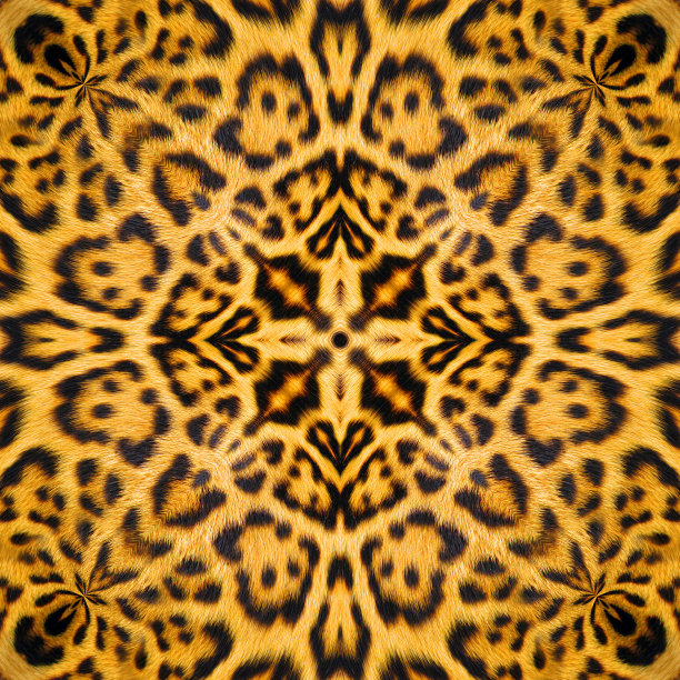 豹纹背景素材ID：151106836