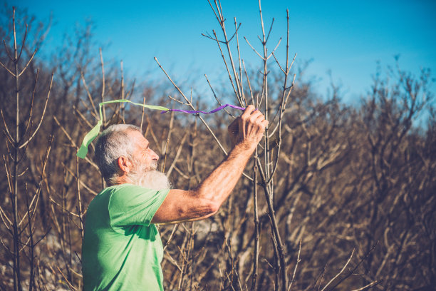 年长高加索滑翔伞检查风，天气，阿尔卑斯山，欧洲图片下载
