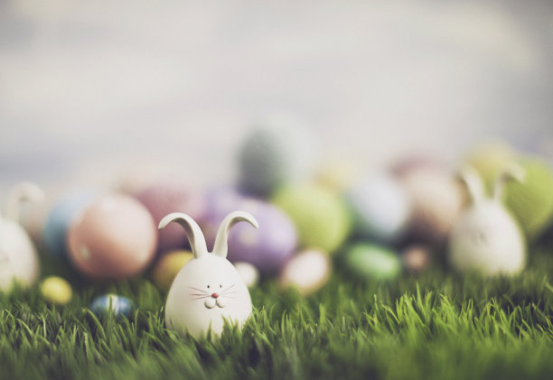 用小兔子和装饰彩蛋来寻找复活节彩蛋图片下载