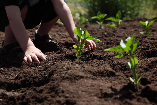 小男孩在花园里干活图片下载