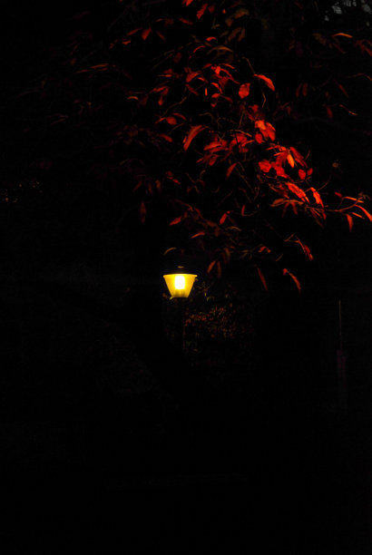 秋天的夜景图片下载