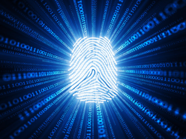 网络识别图片下载