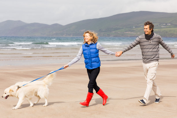 欢快的夫妇和狗在海滩上散步图片下载